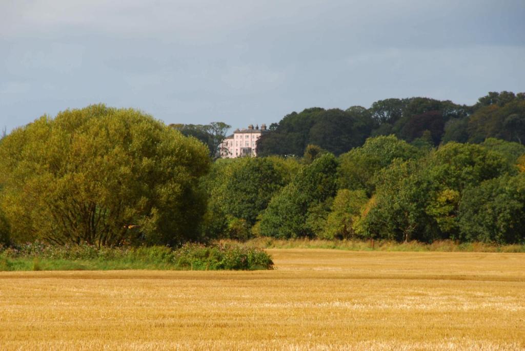 Longueville House Hotell Mallow Exteriör bild